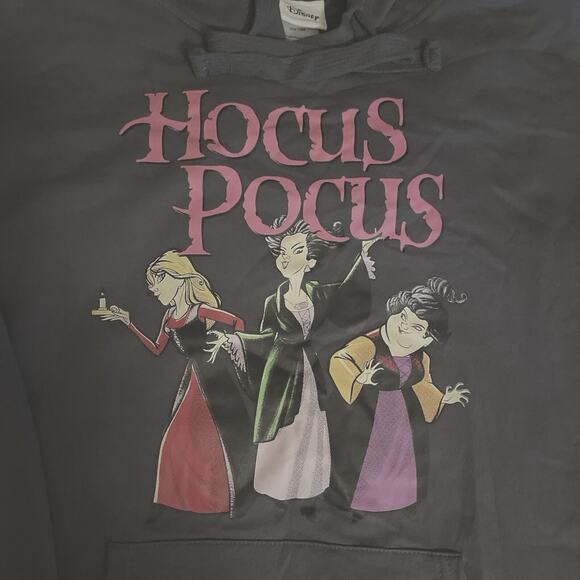 Disney  Hocus Pocus Witch Graphic Sweatshirt Gray Hoodie Women’s Size M NWT - Picture 5 of 8